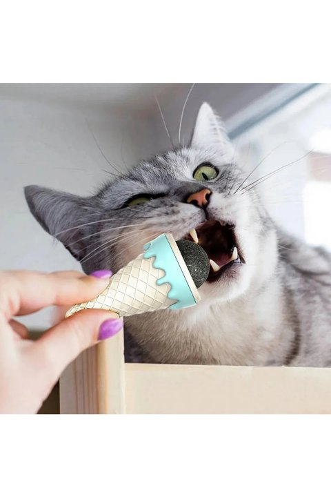 Dondurma Şeklinde Kedi Otu Nanesi